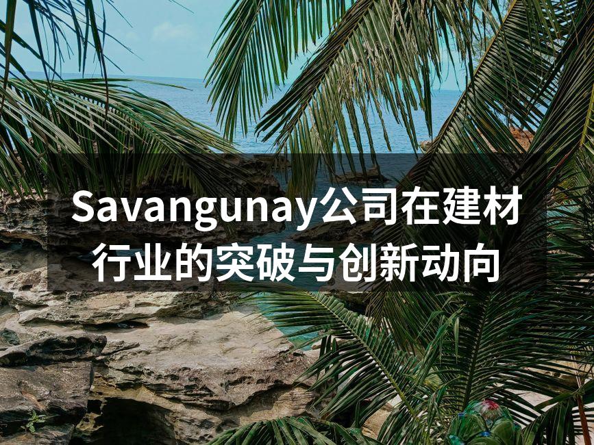 Savangunay公司在建材行业的突破与创新动向